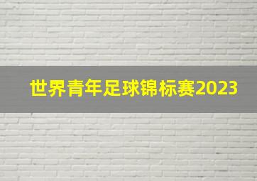 世界青年足球锦标赛2023