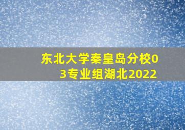 东北大学秦皇岛分校03专业组湖北2022