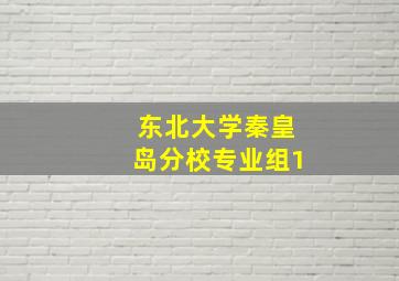 东北大学秦皇岛分校专业组1