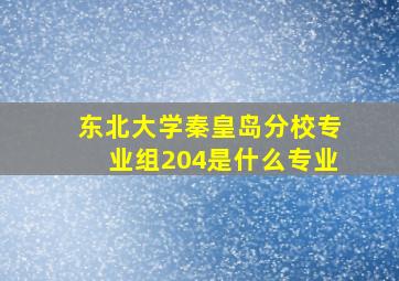 东北大学秦皇岛分校专业组204是什么专业