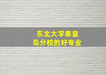 东北大学秦皇岛分校的好专业