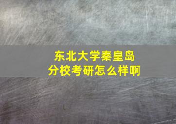 东北大学秦皇岛分校考研怎么样啊