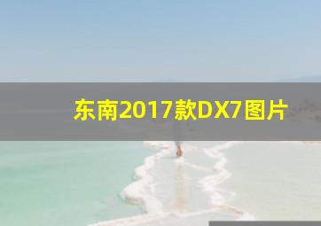 东南2017款DX7图片