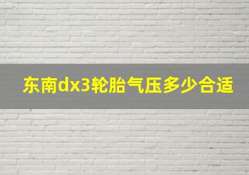 东南dx3轮胎气压多少合适