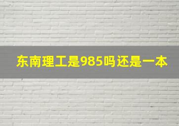 东南理工是985吗还是一本