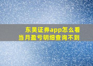 东吴证券app怎么看当月盈亏明细查询不到