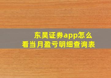 东吴证券app怎么看当月盈亏明细查询表