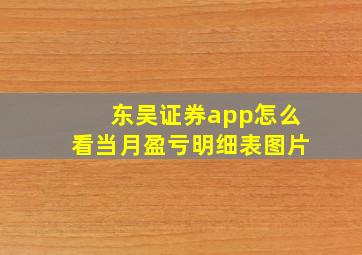 东吴证券app怎么看当月盈亏明细表图片