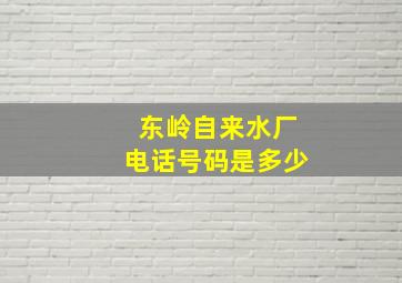 东岭自来水厂电话号码是多少