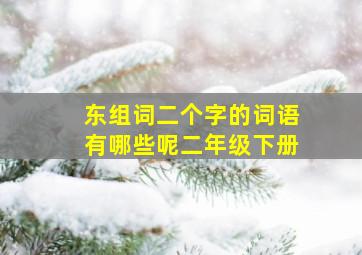 东组词二个字的词语有哪些呢二年级下册