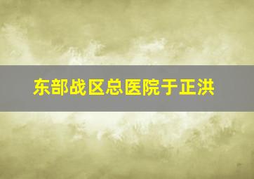 东部战区总医院于正洪