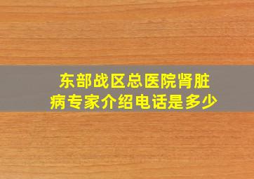 东部战区总医院肾脏病专家介绍电话是多少