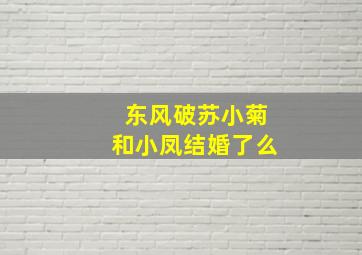 东风破苏小菊和小凤结婚了么