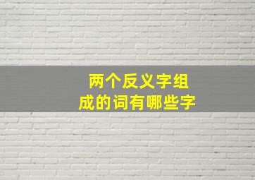 两个反义字组成的词有哪些字