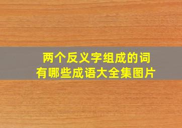 两个反义字组成的词有哪些成语大全集图片