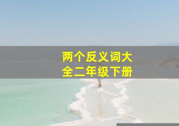 两个反义词大全二年级下册