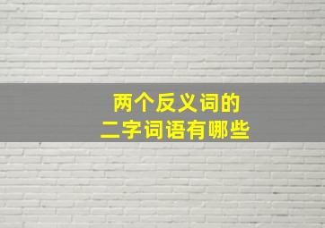 两个反义词的二字词语有哪些