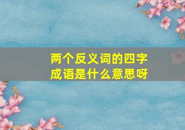 两个反义词的四字成语是什么意思呀