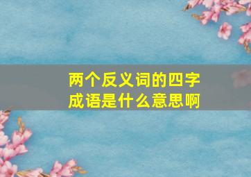 两个反义词的四字成语是什么意思啊