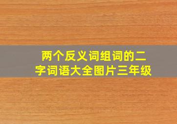 两个反义词组词的二字词语大全图片三年级