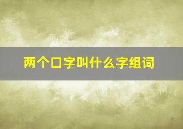 两个口字叫什么字组词