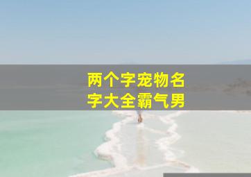 两个字宠物名字大全霸气男