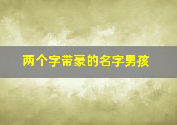 两个字带豪的名字男孩