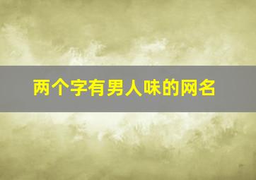 两个字有男人味的网名