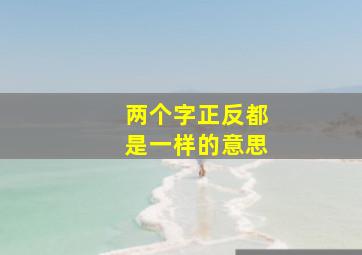 两个字正反都是一样的意思