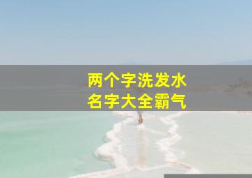 两个字洗发水名字大全霸气