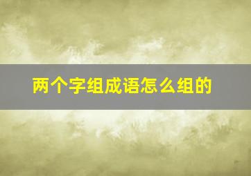 两个字组成语怎么组的