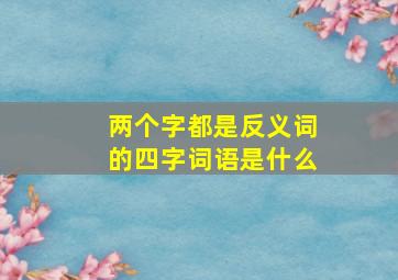 两个字都是反义词的四字词语是什么