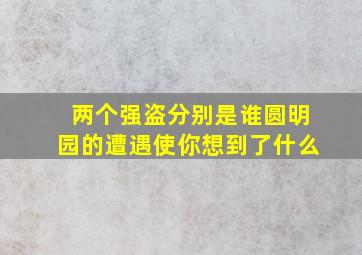 两个强盗分别是谁圆明园的遭遇使你想到了什么