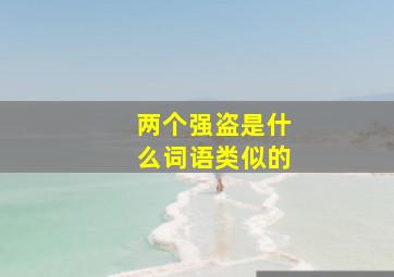 两个强盗是什么词语类似的