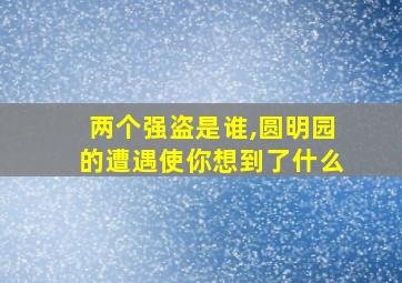 两个强盗是谁,圆明园的遭遇使你想到了什么