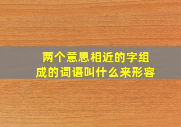 两个意思相近的字组成的词语叫什么来形容