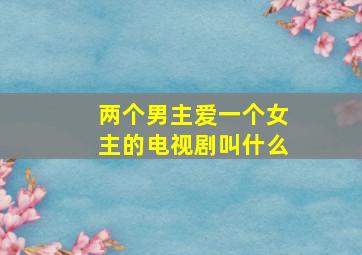 两个男主爱一个女主的电视剧叫什么