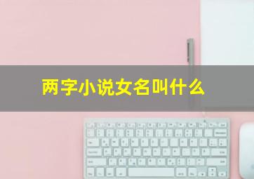 两字小说女名叫什么