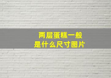 两层蛋糕一般是什么尺寸图片