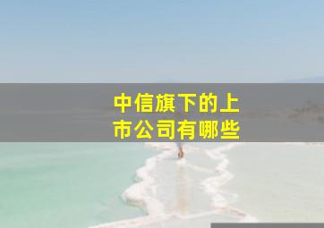 中信旗下的上市公司有哪些