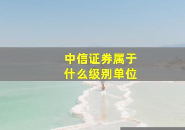 中信证券属于什么级别单位