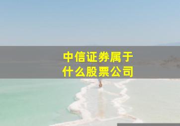 中信证券属于什么股票公司