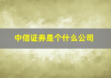 中信证券是个什么公司