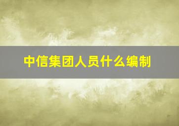 中信集团人员什么编制