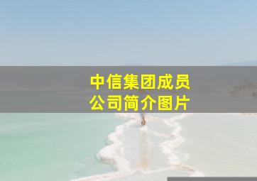 中信集团成员公司简介图片