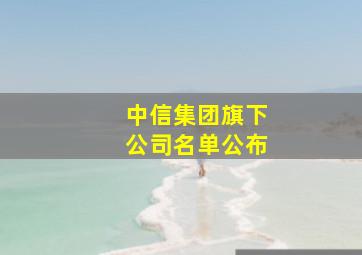 中信集团旗下公司名单公布