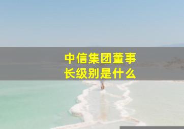 中信集团董事长级别是什么