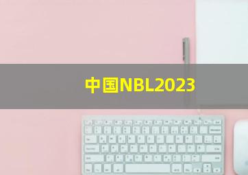 中国NBL2023