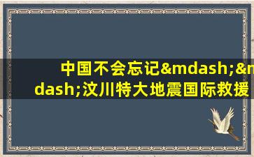 中国不会忘记——汶川特大地震国际救援纪实书籍