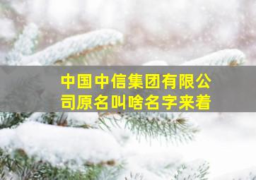 中国中信集团有限公司原名叫啥名字来着